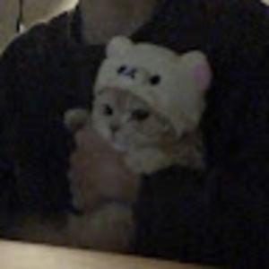 Meet your Posher, Xiaolin